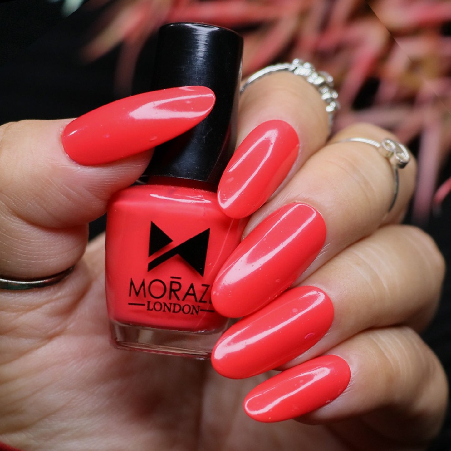 Mini Nail Polish BM