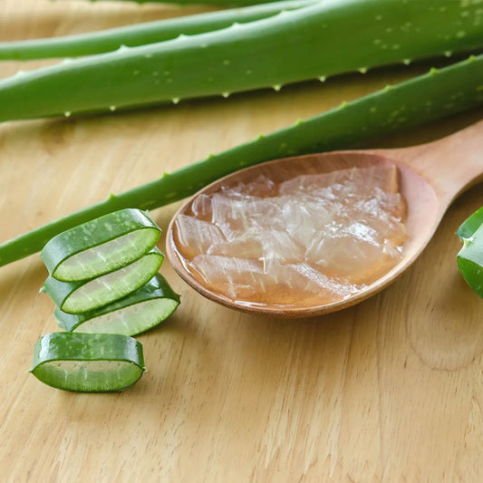 5 ways to use aloe vera for oliy skin
