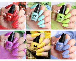 Premium Summer Nail Polish Kit