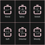 Long Lasting Pack of 6 Perfume Set